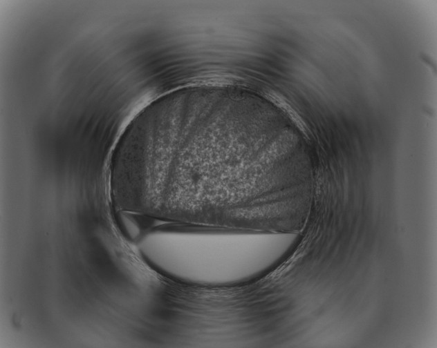 X0000091691083200709131602