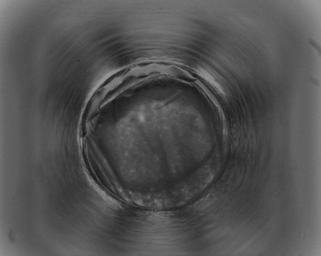 X0000091691084200709131602