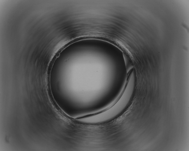 X0000091691085200709131602