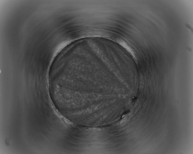 X0000091691088200709131602