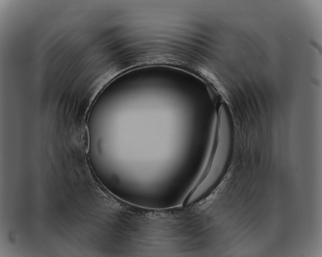 X0000091691089200709131602