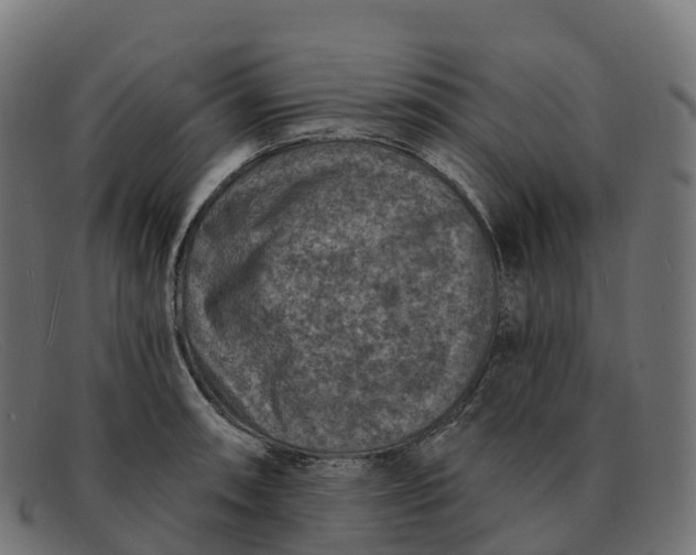 X0000091691090200709131602