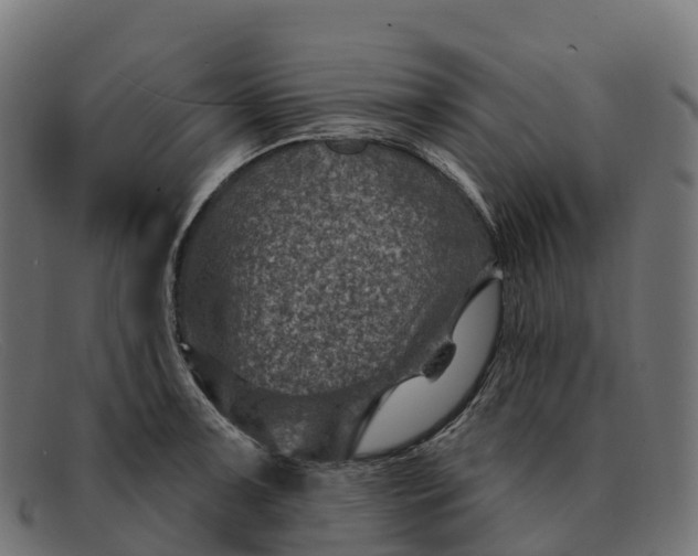 X0000091691091200709131602