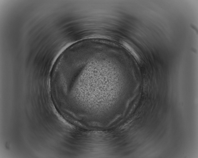 X0000091691092200709131602