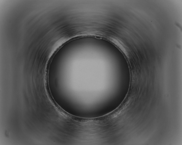 X0000091691093200709131602