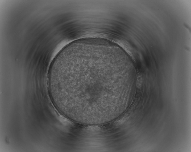 X0000091691094200709131602