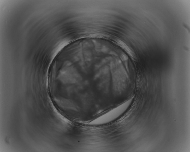 X0000091691095200709131602