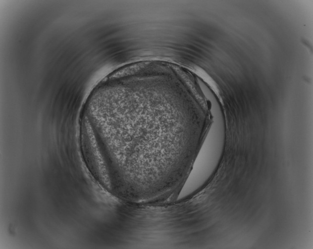 X0000091691096200709131602