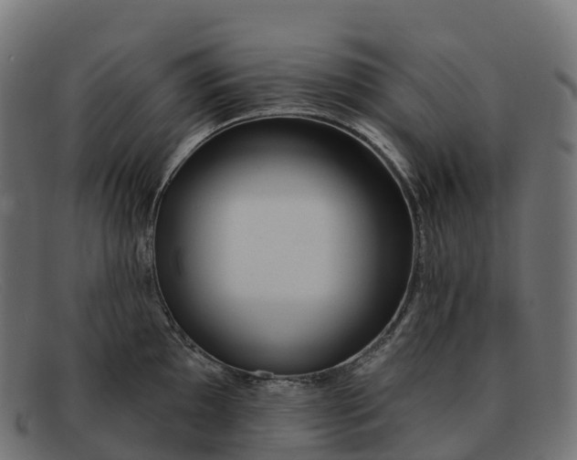 X0000091691097200709131602