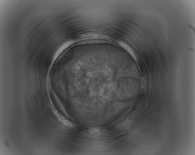 X0000091691098200709131602