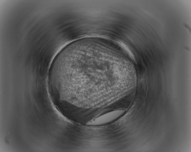 X0000091691100200709131602