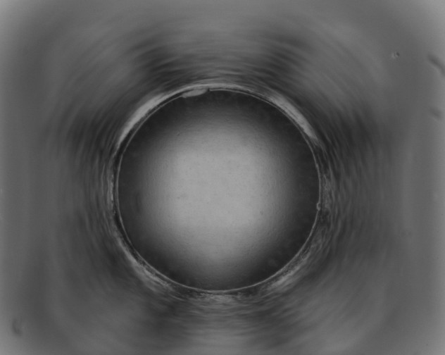 X0000091691101200709131602