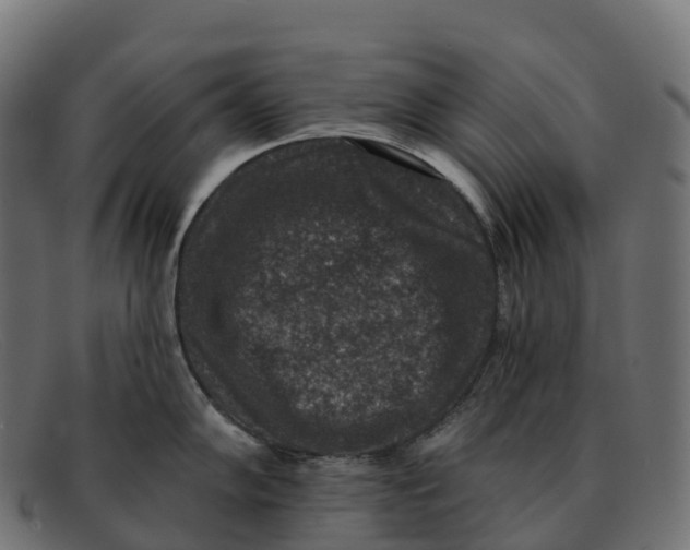 X0000091691102200709131602