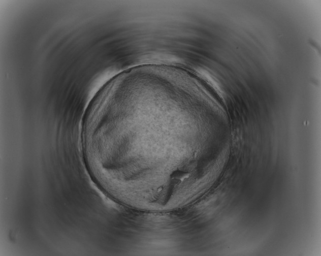 X0000091691103200709131602