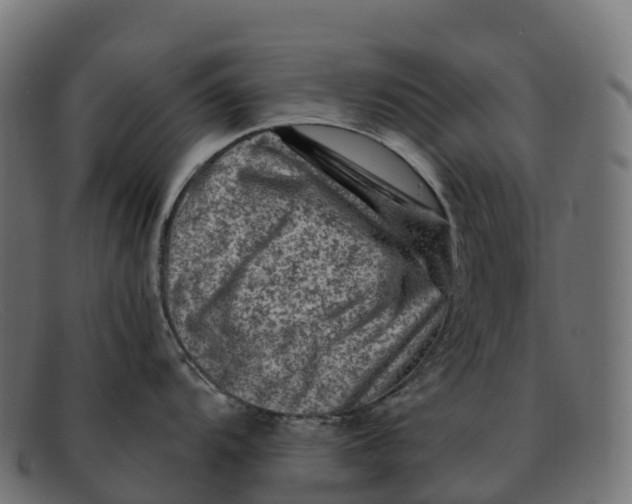 X0000091691104200709131602