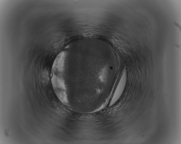 X0000091691106200709131601