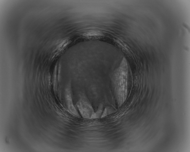 X0000091691108200709131601