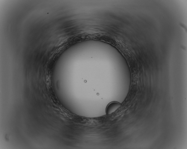 X0000091691109200709131601