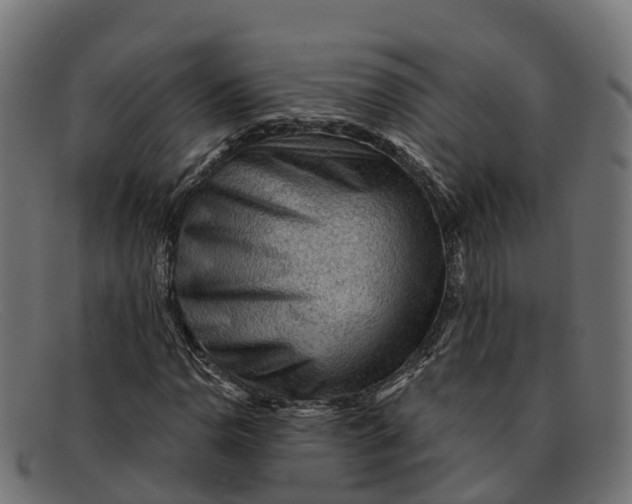 X0000091691110200709131601