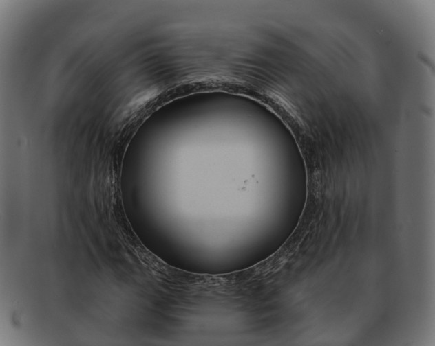 X0000091691111200709131601