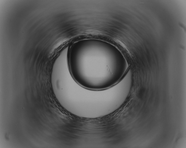 X0000091691112200709131601