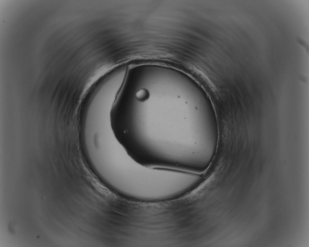 X0000091691114200709131602