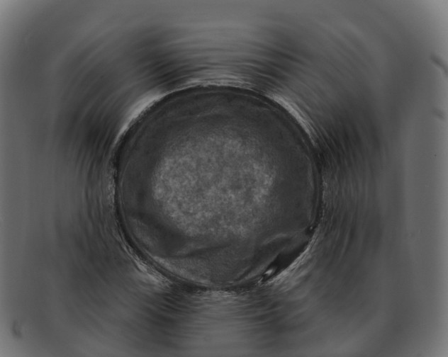 X0000091691115200709131602