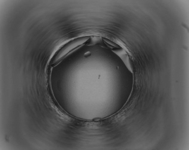 X0000091691116200709131602