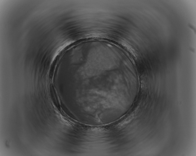 X0000091691117200709131602