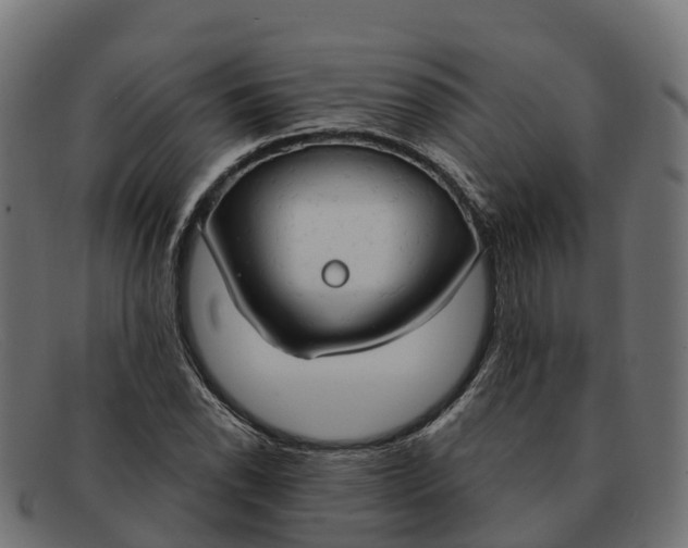 X0000091691118200709131602