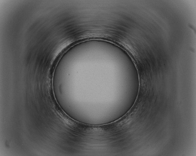 X0000091691119200709131602