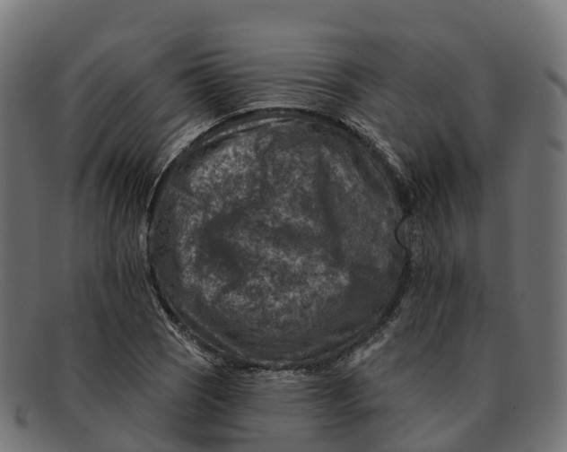 X0000091691121200709131602