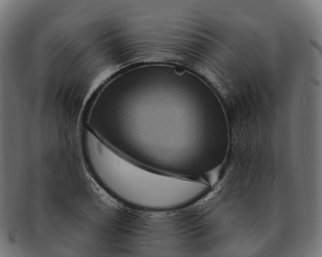 X0000091691122200709131602