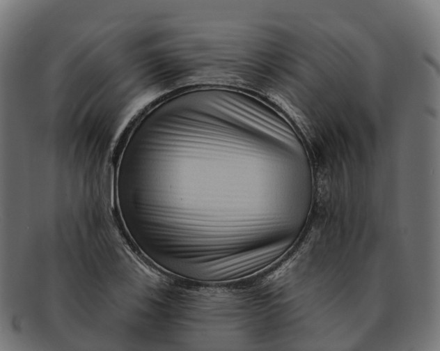 X0000091691123200709131602