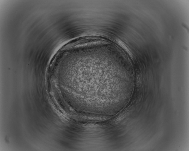 X0000091691124200709131602