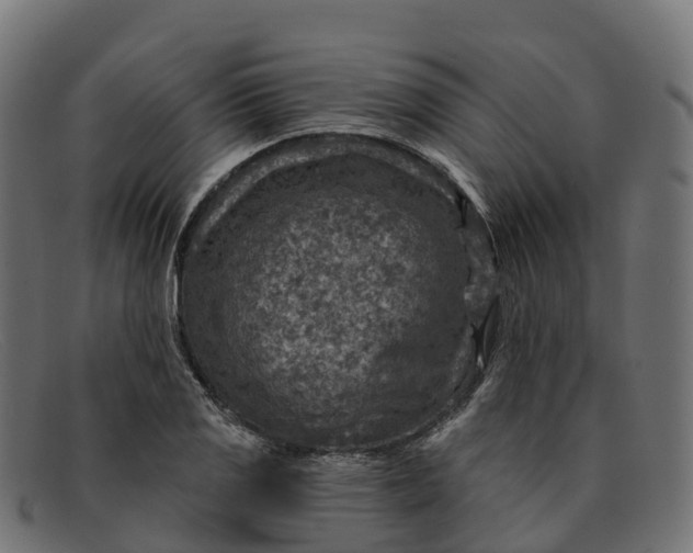 X0000091691125200709131602