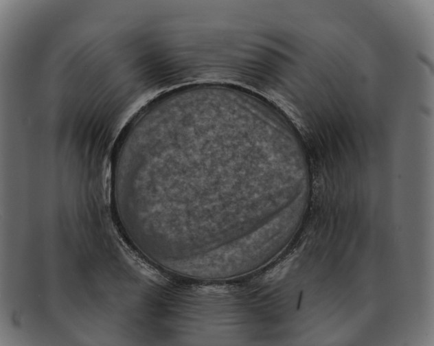 X0000091691126200709131602