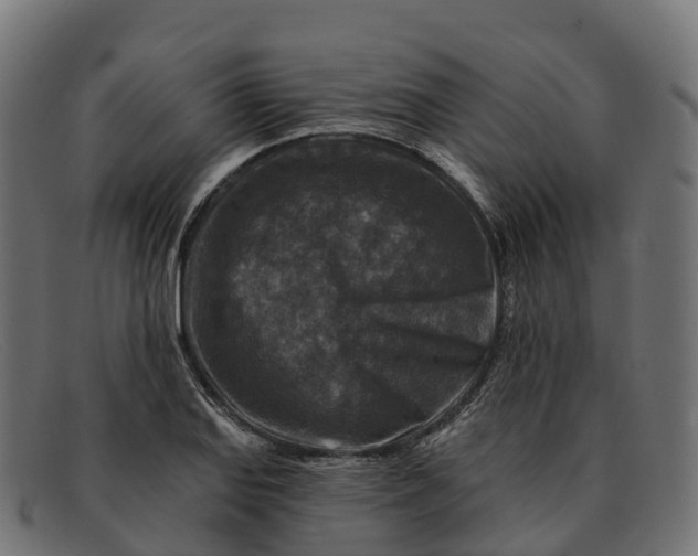 X0000091691127200709131602