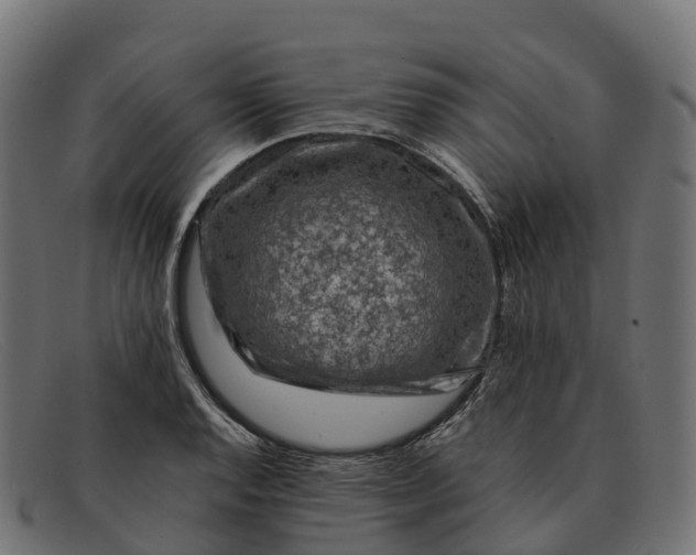 X0000091691128200709131602