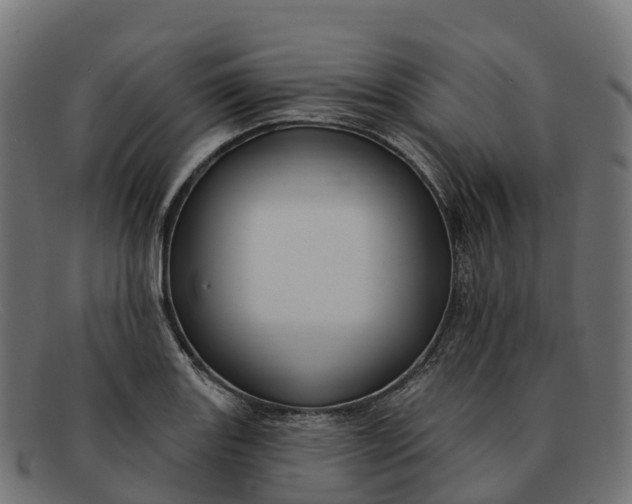 X0000091691131200709131602