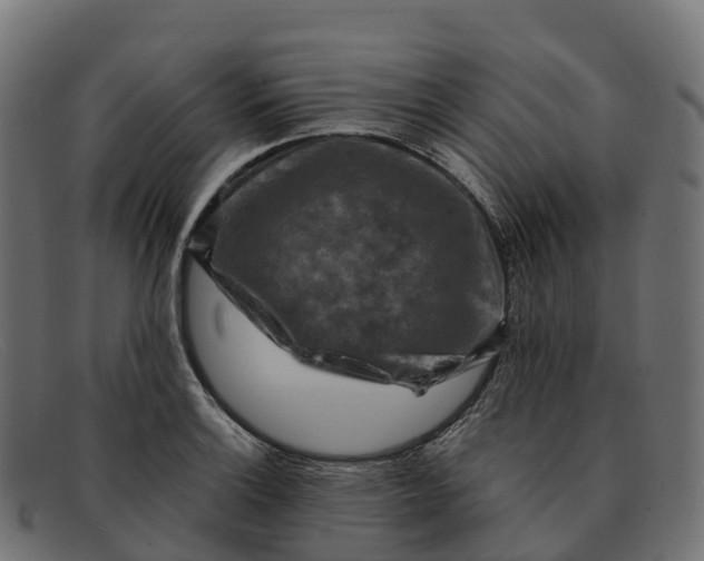 X0000091691132200709131602