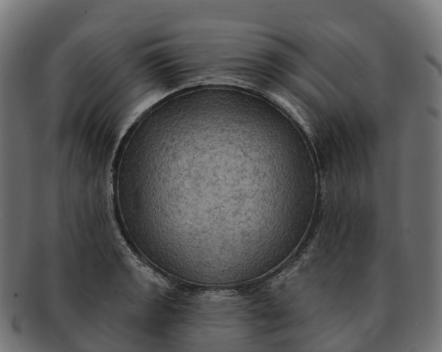 X0000091691133200709131602