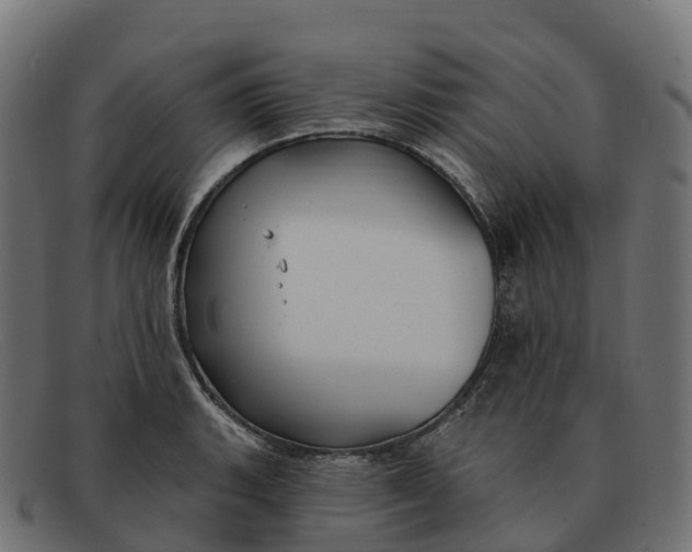 X0000091691135200709131602