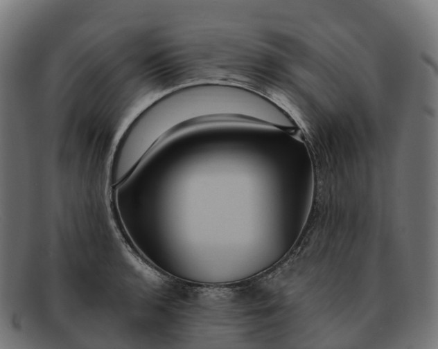 X0000091691136200709131602