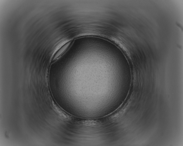 X0000091691137200709131602