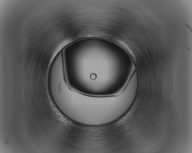 X0000091691138200709131602