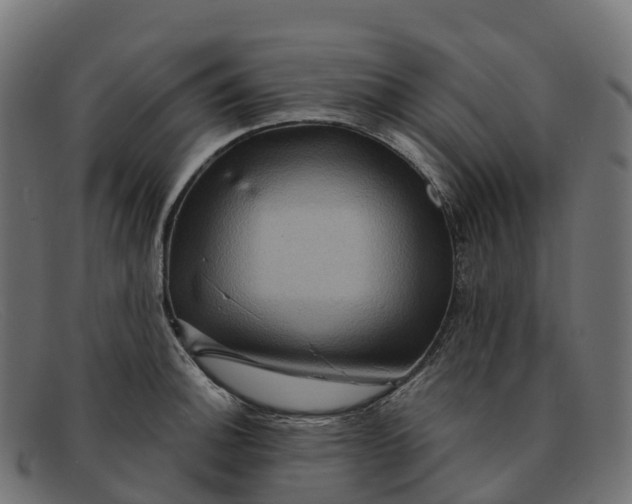 X0000091691140200709131602