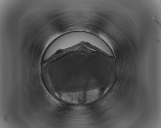 X0000091691141200709131602