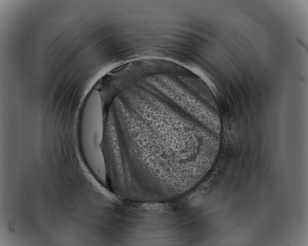 X0000091691142200709131602