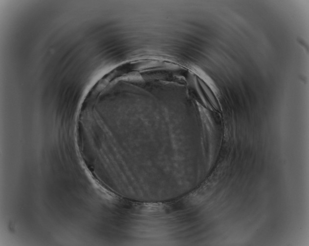 X0000091691144200709131602